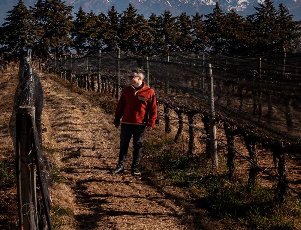 Halley entre as vinhas em Mendoza com os Andes ao fundo