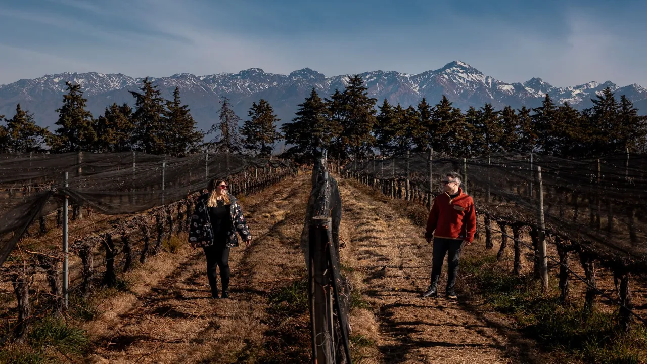 Vinícola em Mendoza com os Andes ao fundo